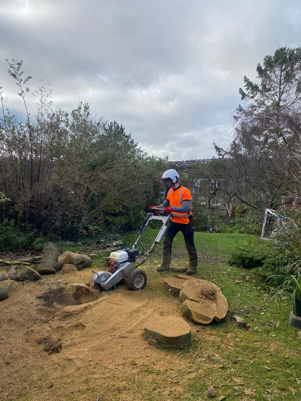 Residential Stump Removal