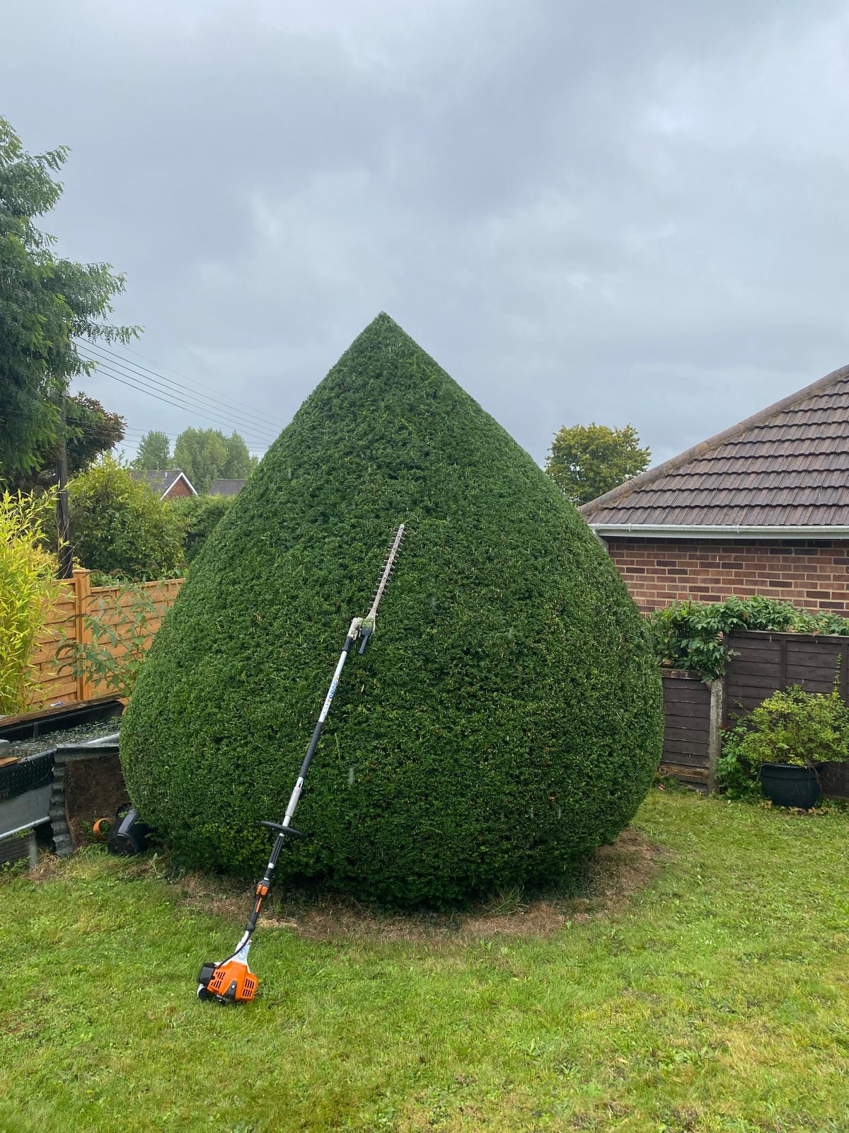 Hedge Planting & Trimming