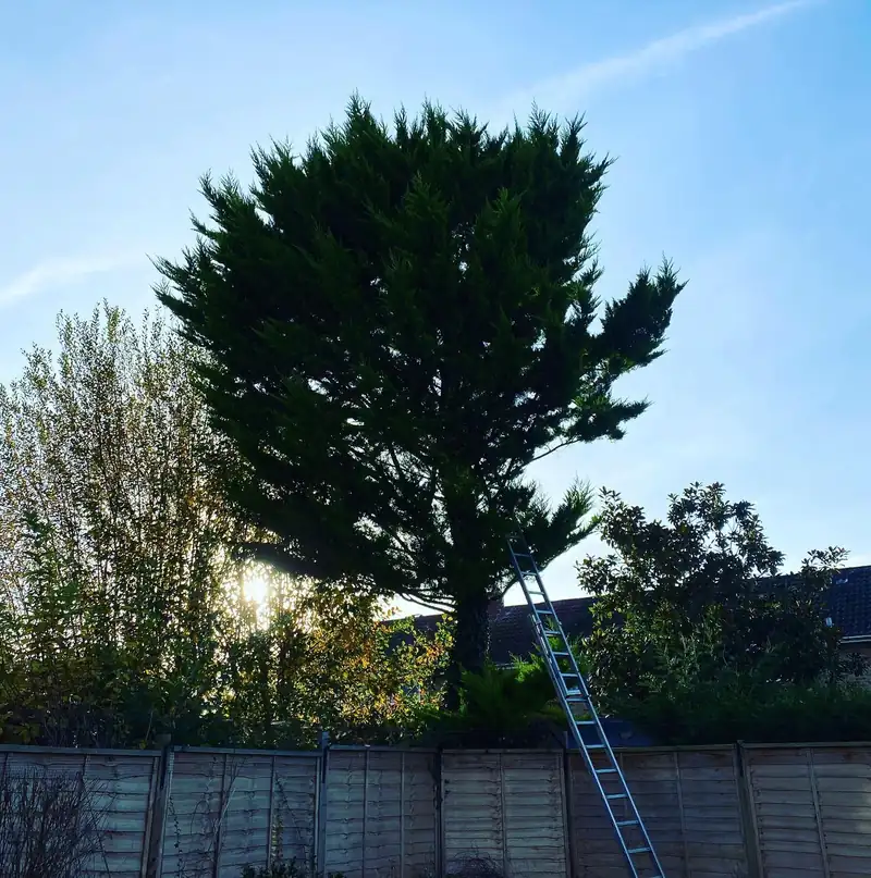 A reduction with as few cuts as possible, Hassocks (photo 1 of 2)