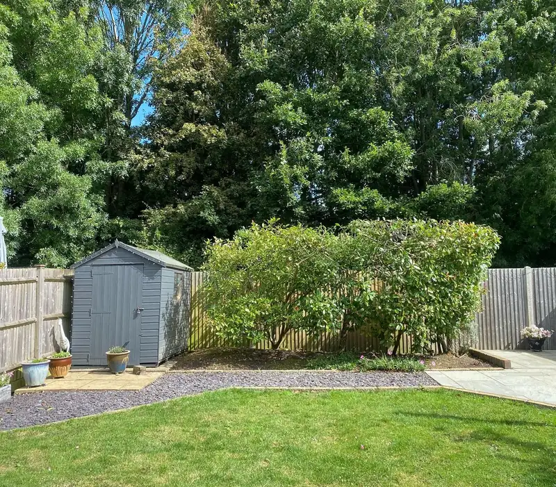 Removing a cherry and levelling laurel and hawthorn, Burgess Hill