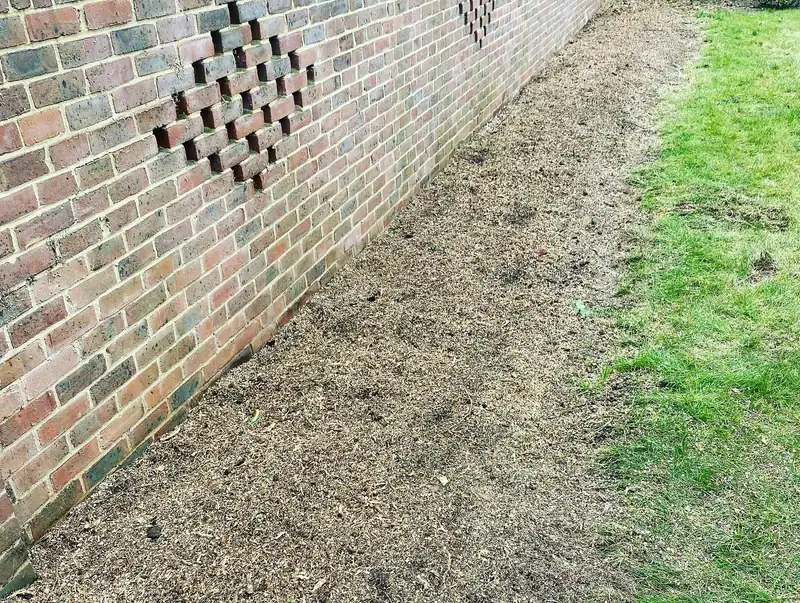 Removing a conifer hedge and grinding out the stumps, Hurstpierpoint (photo 7 of 8)