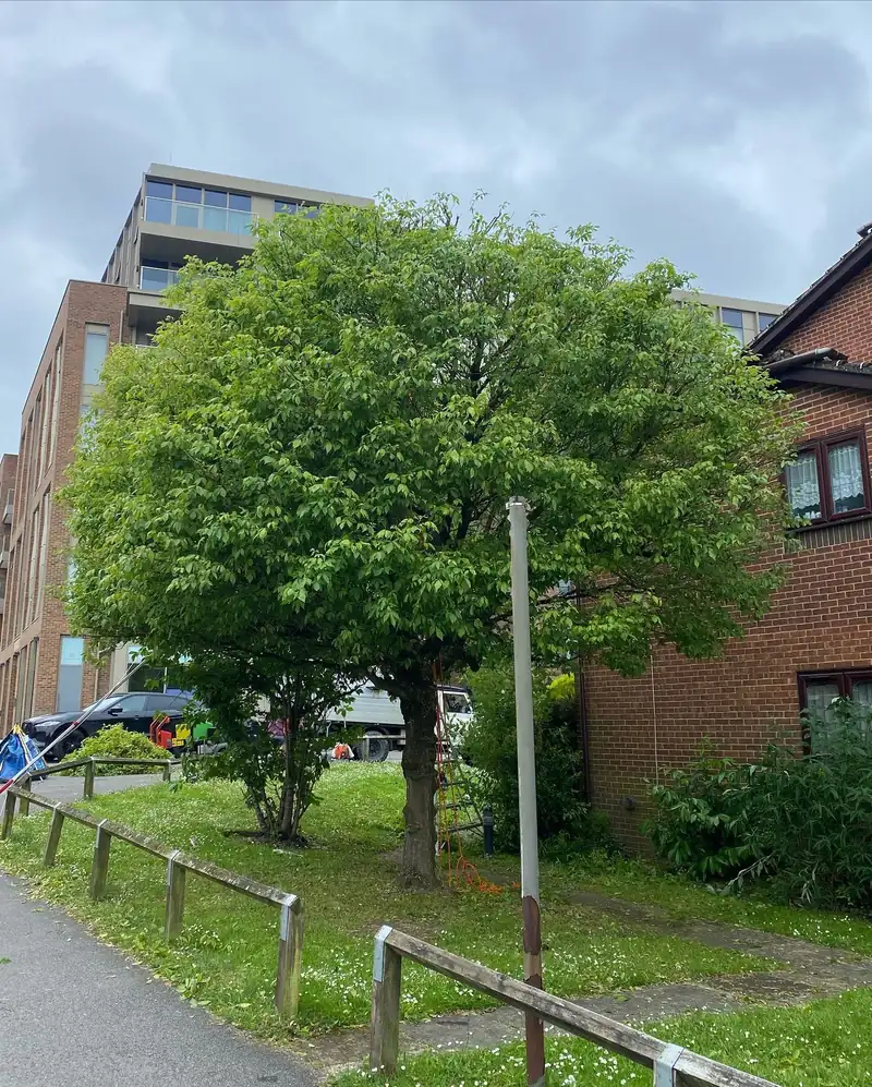 A 25% reduction away from a building, Haywards Heath (photo 2 of 2)