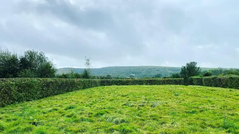 Cutting a long field hedge, Hassocks (photo 2 of 2)