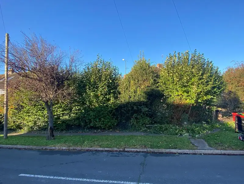 Cutting back a hedge that had taken over the pavement, Hassocks (photo 1 of 2)
