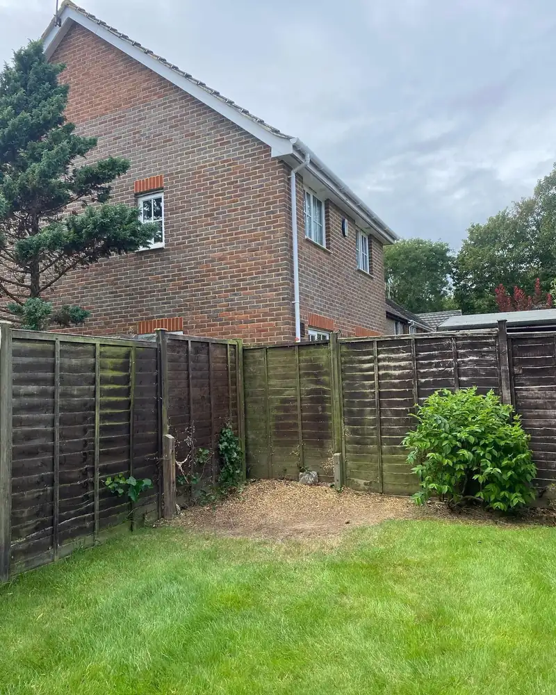 Removing a larch in a conservation area, Burgess Hill (photo 4 of 6)