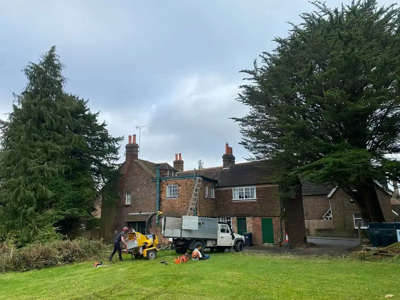 Removing a large macrocarpa over a road and house, Cuckfield (photo 2 of 6)