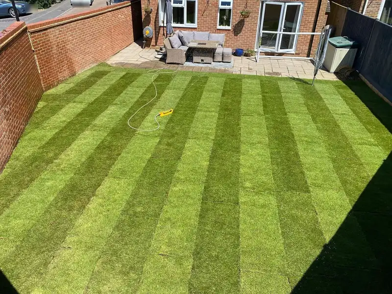 A new lawn: 95 metres of turf, Burgess Hill (photo 2 of 3)