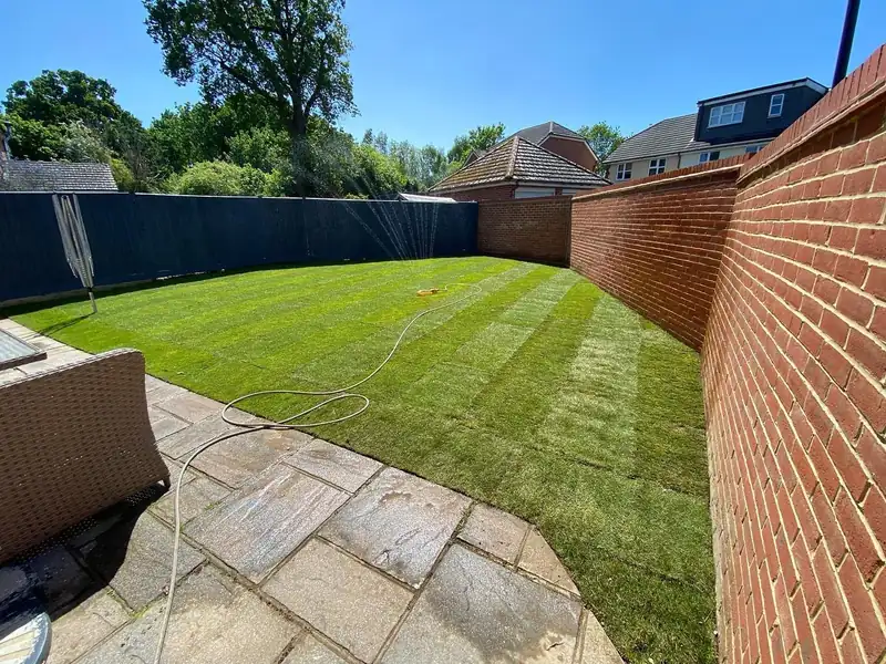 A new lawn: 95 metres of turf, Burgess Hill (photo 3 of 3)