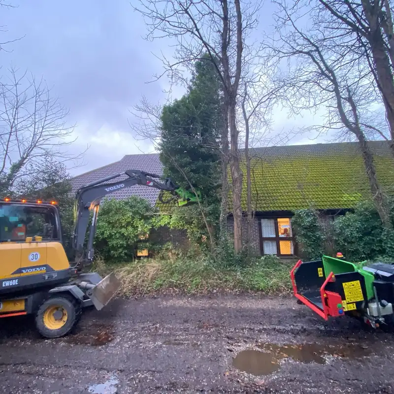 Removing a sycamore leaning over Adastra Hall, Hassocks (photo 1 of 7)