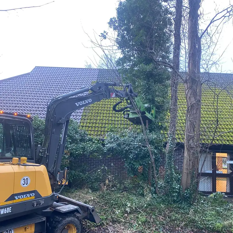 Removing a sycamore leaning over Adastra Hall, Hassocks (photo 2 of 7)