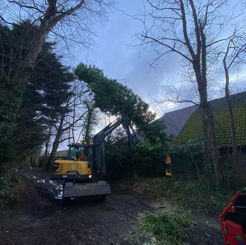Removing a sycamore leaning over Adastra Hall, Hassocks (photo 3 of 7)