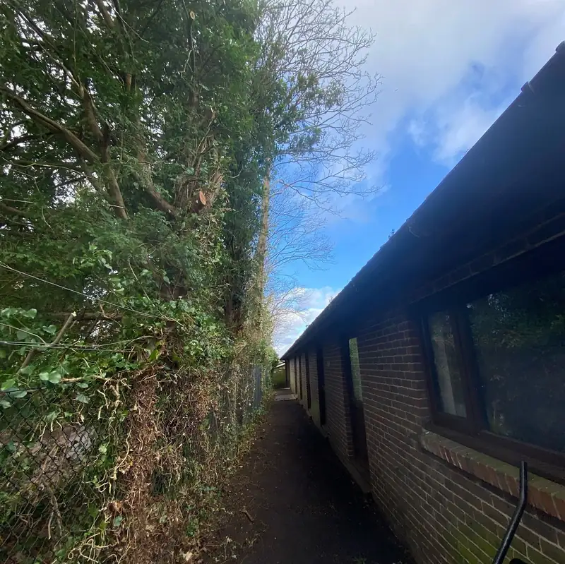 Removing a sycamore leaning over Adastra Hall, Hassocks (photo 7 of 7)